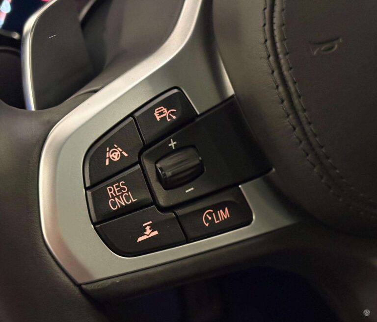 17782274055866
